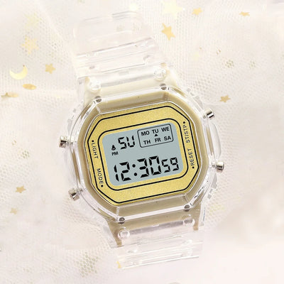 Casio Classic Watch