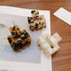 Claw Hair Clip