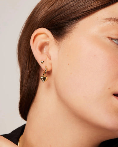 Heart Pendant Earrings